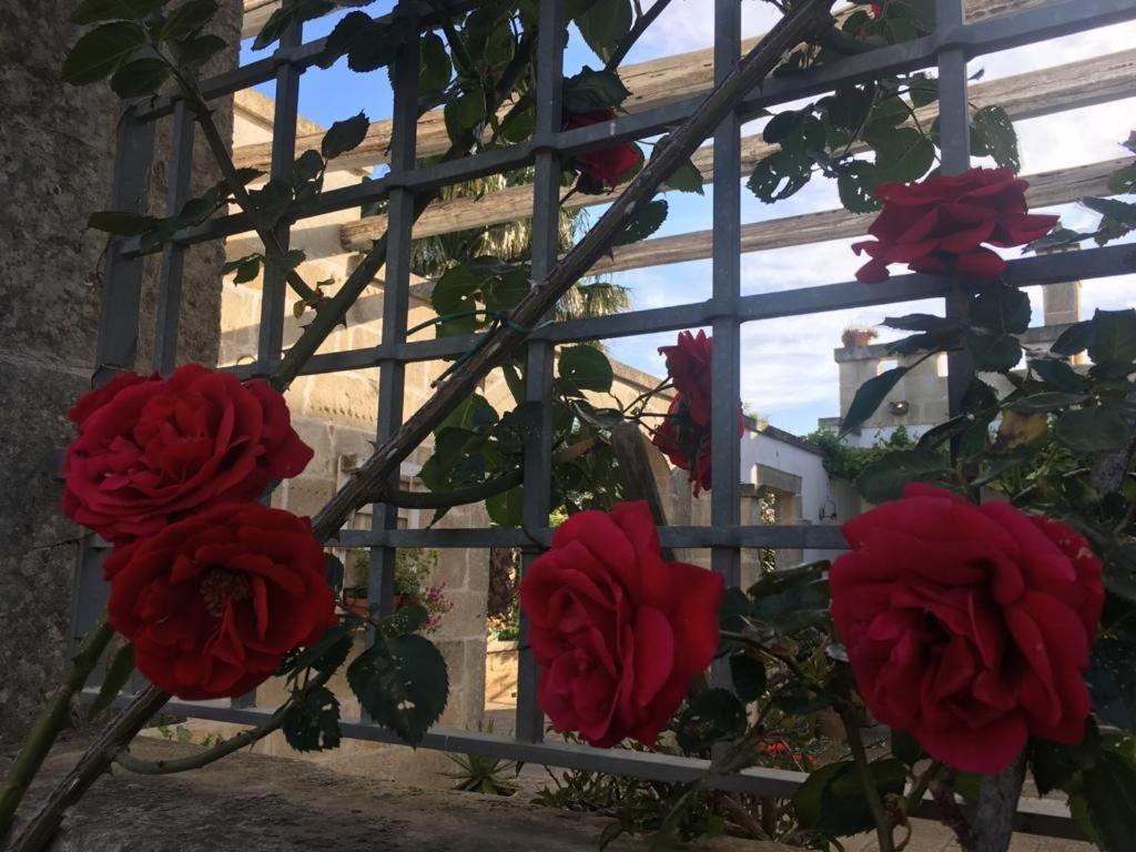 Corte Dei Salentini Carpignano Salentino Bagian luar foto